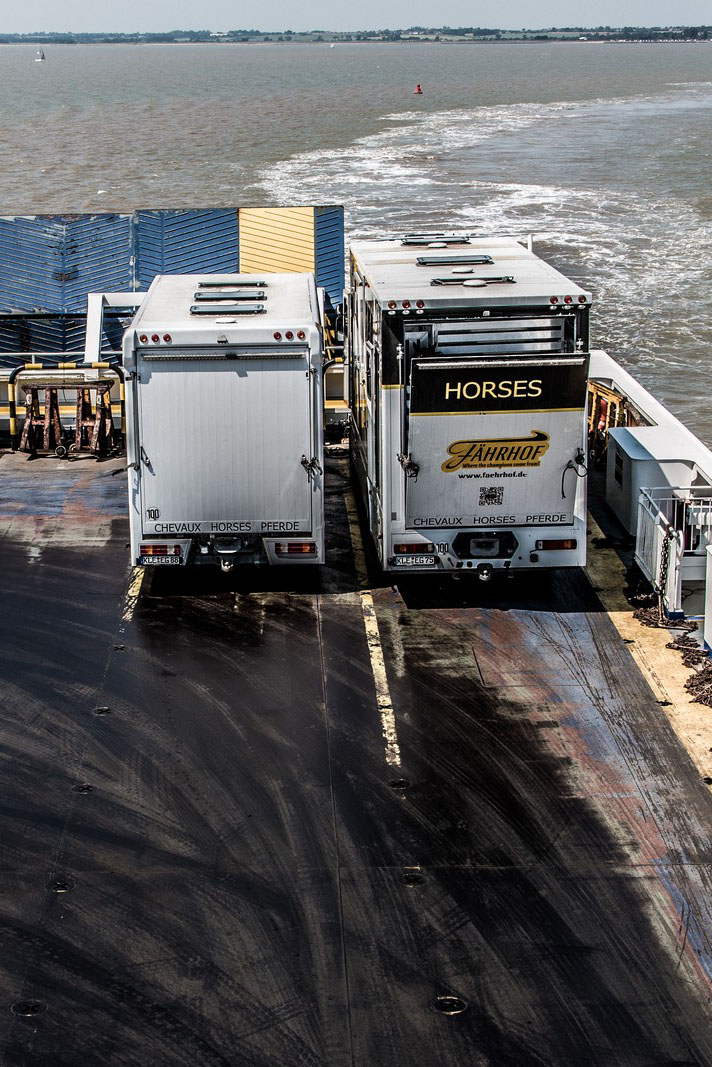 horse truck on ferry